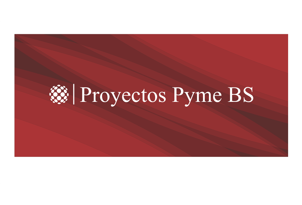 Proyectos Pimebs